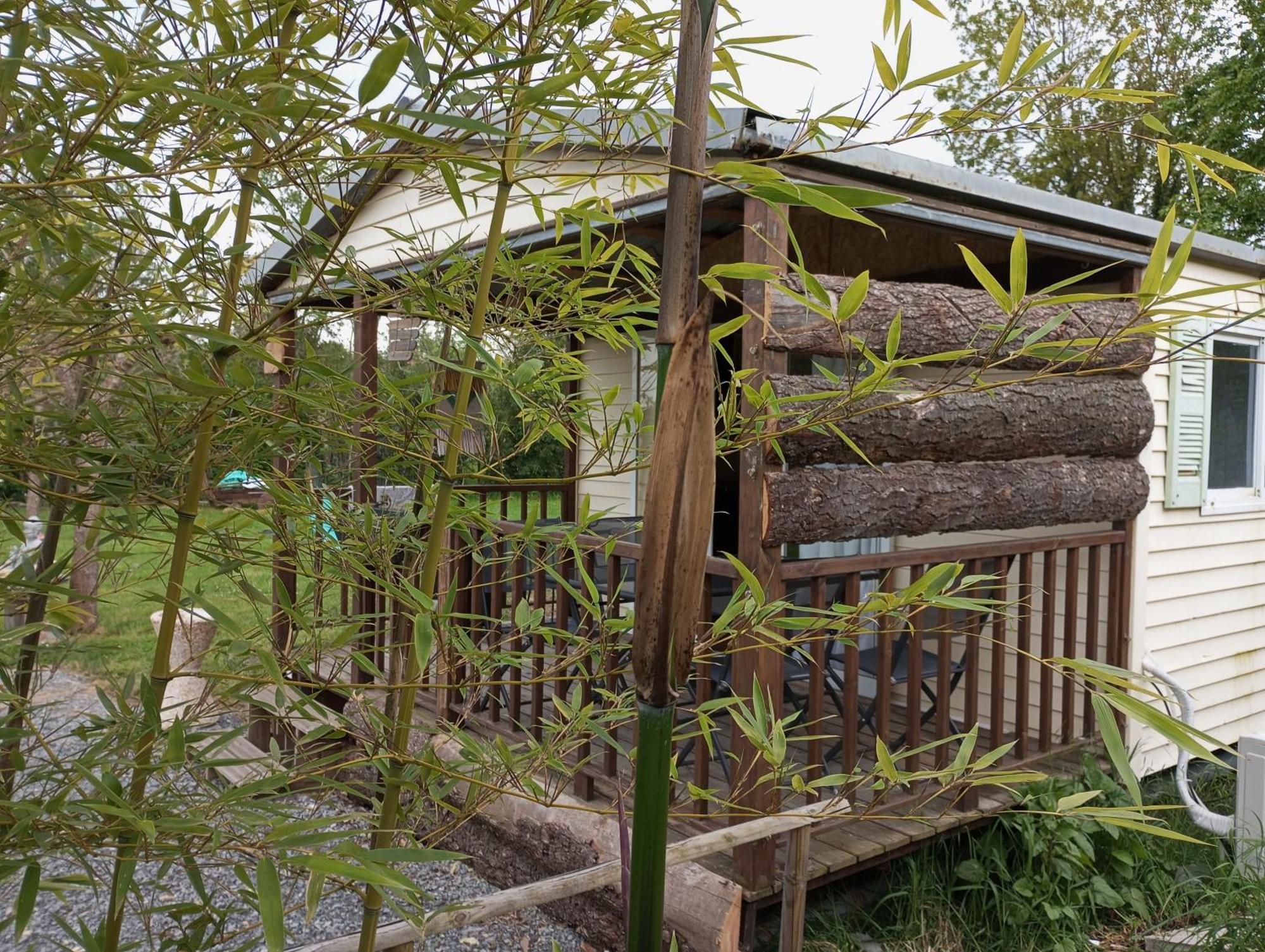 Le cabanon de la grenouille Saint-Martin-des-Lais Exterior foto
